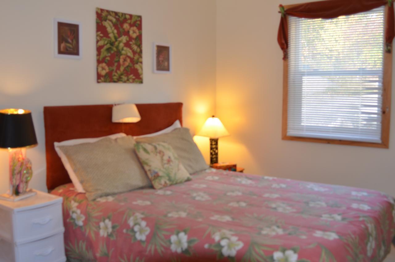 Hotel Sea Parrot Ocean View Manor à Indian Brook Extérieur photo
